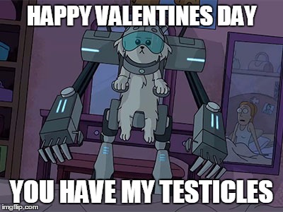 snowball v day | HAPPY VALENTINES DAY; YOU HAVE MY TESTICLES | image tagged in rick and morty,snowball | made w/ Imgflip meme maker