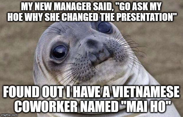 Awkward Moment Sealion Meme | MY NEW MANAGER SAID, "GO ASK MY HOE WHY SHE CHANGED THE PRESENTATION"; FOUND OUT I HAVE A VIETNAMESE COWORKER NAMED "MAI HO" | image tagged in memes,awkward moment sealion | made w/ Imgflip meme maker