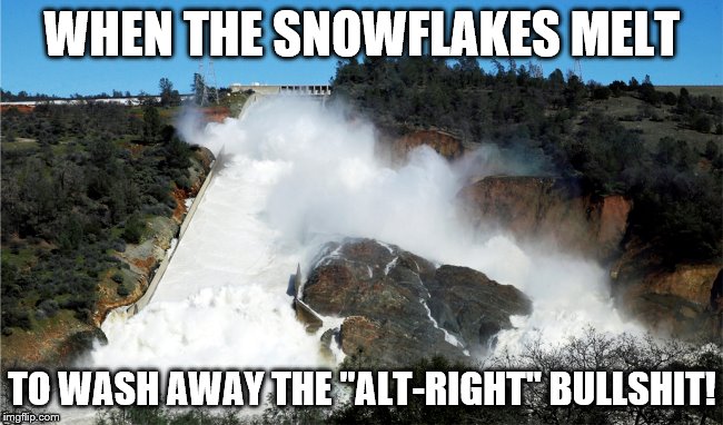 When snow flakes melt to wash away the "alt-right" bull shit! | WHEN THE SNOWFLAKES MELT; TO WASH AWAY THE "ALT-RIGHT" BULLSHIT! | image tagged in donald trump,snowflake,alternative facts,alt right | made w/ Imgflip meme maker