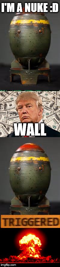 When a Nuke gets triggered | I'M A NUKE :D; WALL | image tagged in nuke,money,trump,wall,triggered | made w/ Imgflip meme maker