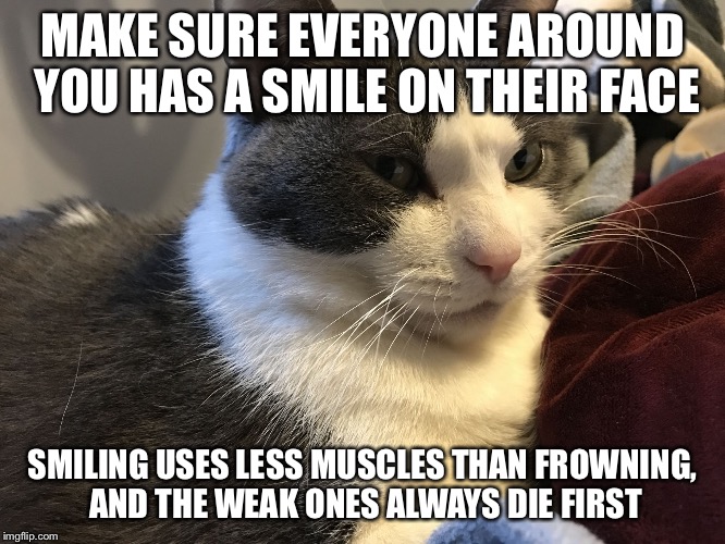 Kindness cat | MAKE SURE EVERYONE AROUND YOU HAS A SMILE ON THEIR FACE; SMILING USES LESS MUSCLES THAN FROWNING, AND THE WEAK ONES ALWAYS DIE FIRST | image tagged in kindness cat,cats,malicious advice,smile,kindness | made w/ Imgflip meme maker