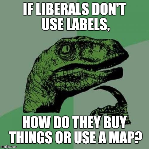Philosoraptor | IF LIBERALS DON'T USE LABELS, HOW DO THEY BUY THINGS OR USE A MAP? | image tagged in memes,philosoraptor | made w/ Imgflip meme maker