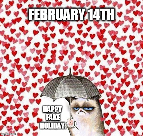 grumpy valentine |  FEBRUARY 14TH; HAPPY FAKE HOLIDAY. | image tagged in grumpy valentine | made w/ Imgflip meme maker