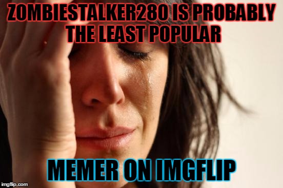 First World Problems Meme | ZOMBIESTALKER280 IS PROBABLY THE LEAST POPULAR MEMER ON IMGFLIP | image tagged in memes,first world problems | made w/ Imgflip meme maker