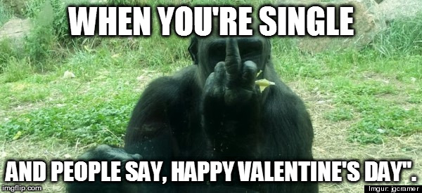 Flip off gorilla | WHEN YOU'RE SINGLE; AND PEOPLE SAY, HAPPY VALENTINE'S DAY". | image tagged in single on valentine day,gorilla | made w/ Imgflip meme maker