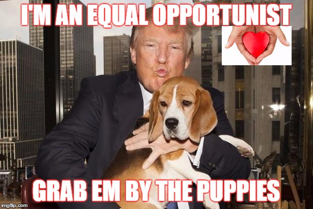 I'M AN EQUAL OPPORTUNIST; GRAB EM BY THE PUPPIES | made w/ Imgflip meme maker
