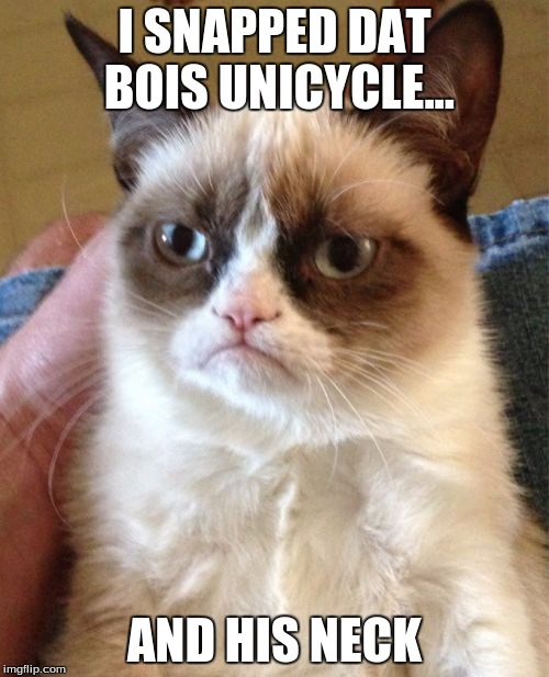 Grumpy Cat | I SNAPPED DAT BOIS UNICYCLE... AND HIS NECK | image tagged in memes,grumpy cat | made w/ Imgflip meme maker