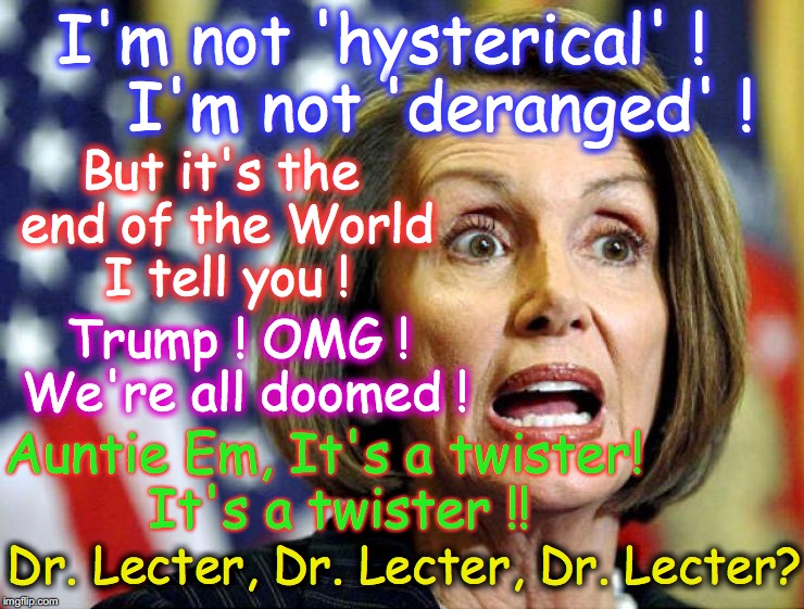 TDS (Trump Derangement Syndrome) has found a poster child | I'm not 'hysterical' !      I'm not 'deranged' ! But it's the end of the World I tell you ! Trump ! OMG ! We're all doomed ! Auntie Em, It's a twister!  It's a twister !! Dr. Lecter, Dr. Lecter, Dr. Lecter? | image tagged in nancy pelosi,insanity | made w/ Imgflip meme maker