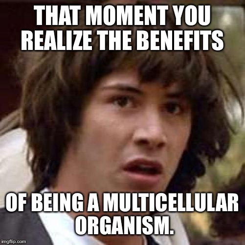 Conspiracy Keanu | THAT MOMENT YOU REALIZE THE BENEFITS; OF BEING A MULTICELLULAR ORGANISM. | image tagged in memes,conspiracy keanu | made w/ Imgflip meme maker