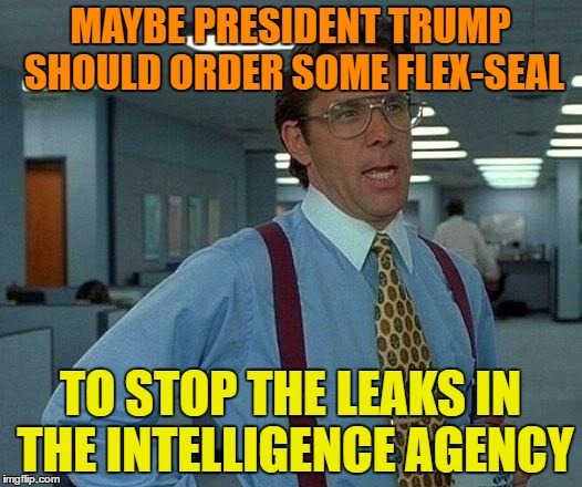That Would Be Great Meme |  MAYBE PRESIDENT TRUMP SHOULD ORDER SOME FLEX-SEAL; TO STOP THE LEAKS IN THE INTELLIGENCE AGENCY | image tagged in memes,that would be great | made w/ Imgflip meme maker