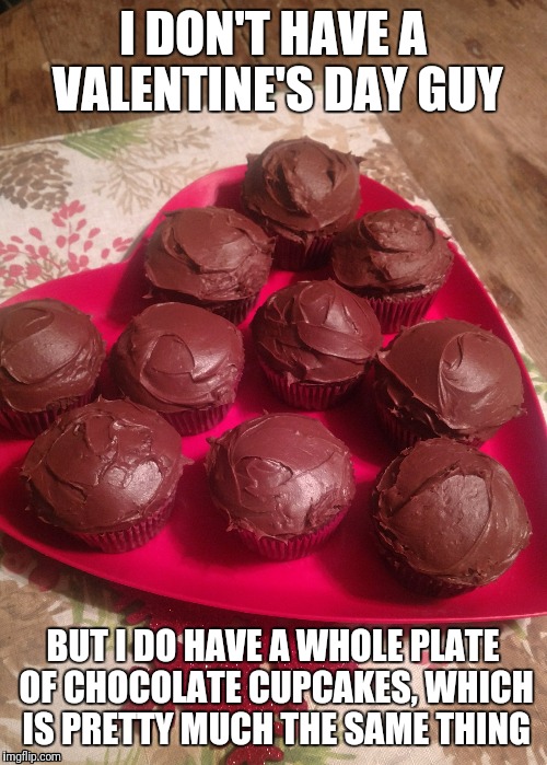 Better, really | I DON'T HAVE A VALENTINE'S DAY GUY; BUT I DO HAVE A WHOLE PLATE OF CHOCOLATE CUPCAKES, WHICH IS PRETTY MUCH THE SAME THING | image tagged in valentine's day | made w/ Imgflip meme maker