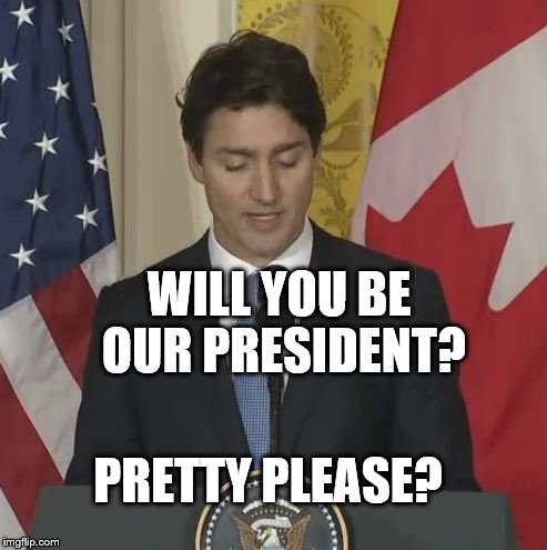 Please be ours | WILL YOU BE OUR PRESIDENT? PRETTY PLEASE? | image tagged in prime minister justin trudeau is running for president | made w/ Imgflip meme maker