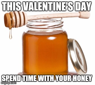 THIS VALENTINE'S DAY; SPEND TIME WITH YOUR HONEY | image tagged in memes | made w/ Imgflip meme maker