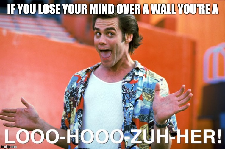 IF YOU LOSE YOUR MIND OVER A WALL YOU'RE A | made w/ Imgflip meme maker