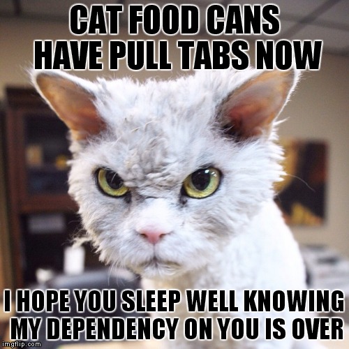 I think his name is pompous... | CAT FOOD CANS HAVE PULL TABS NOW; I HOPE YOU SLEEP WELL KNOWING MY DEPENDENCY ON YOU IS OVER | image tagged in pompous,declaration of independence | made w/ Imgflip meme maker