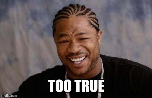 Yo Dawg Heard You Meme | TOO TRUE | image tagged in memes,yo dawg heard you | made w/ Imgflip meme maker