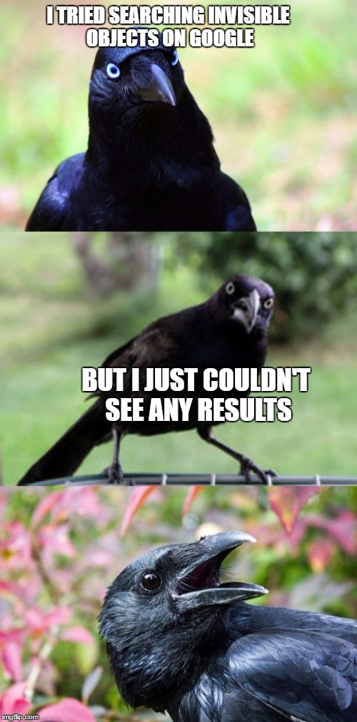 Hopefully you would SEE the pun! | I TRIED SEARCHING INVISIBLE OBJECTS ON GOOGLE; BUT I JUST COULDN'T SEE ANY RESULTS | image tagged in bad pun crow,invisible | made w/ Imgflip meme maker