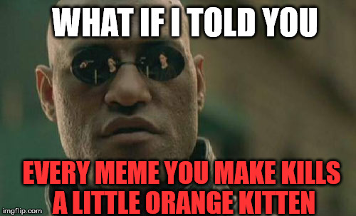 Matrix Morpheus | WHAT IF I TOLD YOU; EVERY MEME YOU MAKE KILLS A LITTLE ORANGE KITTEN | image tagged in memes,matrix morpheus | made w/ Imgflip meme maker