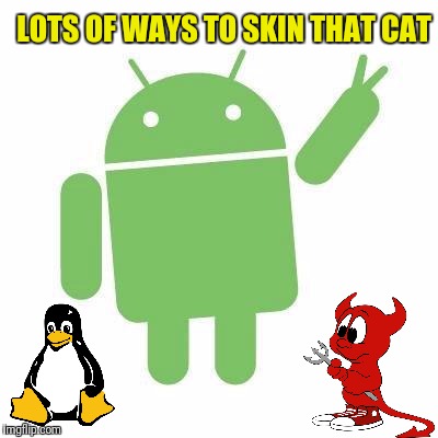 LOTS OF WAYS TO SKIN THAT CAT | made w/ Imgflip meme maker