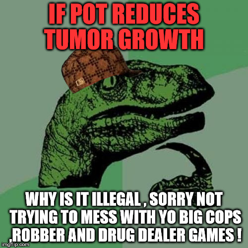 Philosoraptor | IF POT REDUCES TUMOR GROWTH; WHY IS IT ILLEGAL , SORRY NOT TRYING TO MESS WITH YO BIG COPS ,ROBBER AND DRUG DEALER GAMES ! | image tagged in memes,philosoraptor,scumbag | made w/ Imgflip meme maker