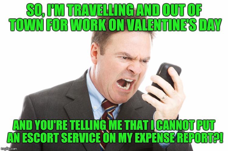 Not that I've done it, but the thought has crossed my mind! | SO, I'M TRAVELLING AND OUT OF TOWN FOR WORK ON VALENTINE'S DAY; AND YOU'RE TELLING ME THAT I CANNOT PUT AN ESCORT SERVICE ON MY EXPENSE REPORT?! | image tagged in angry businessman,escort,expense report,valentine's day | made w/ Imgflip meme maker
