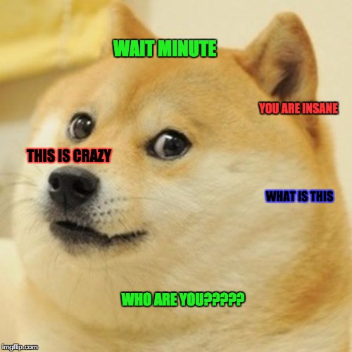 Doge Meme | WAIT MINUTE; YOU ARE INSANE; THIS IS CRAZY; WHAT IS THIS; WHO ARE YOU????? | image tagged in memes,doge | made w/ Imgflip meme maker