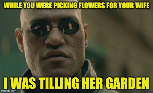 Scumbag Gardener Morpheus | WHILE YOU WERE PICKING FLOWERS FOR YOUR WIFE; I WAS TILLING HER GARDEN | image tagged in memes,matrix morpheus,scumbag | made w/ Imgflip meme maker