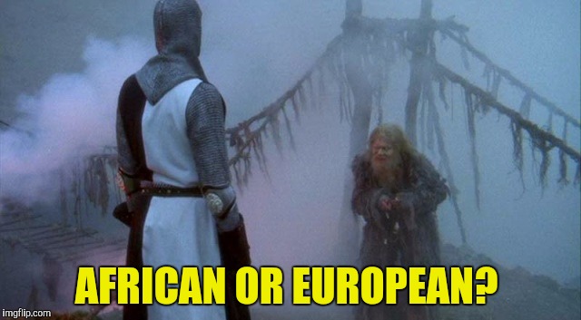 AFRICAN OR EUROPEAN? | made w/ Imgflip meme maker