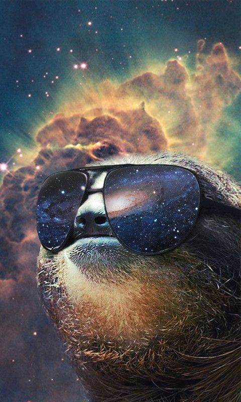 High Quality Space sloth  Blank Meme Template