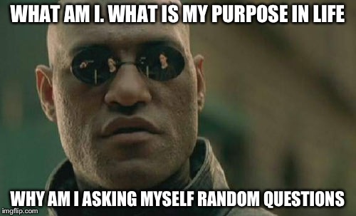 Matrix Morpheus Meme | WHAT AM I. WHAT IS MY PURPOSE IN LIFE; WHY AM I ASKING MYSELF RANDOM QUESTIONS | image tagged in memes,matrix morpheus | made w/ Imgflip meme maker