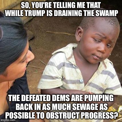 Third World Skeptical Kid Meme | SO, YOU'RE TELLING ME THAT WHILE TRUMP IS DRAINING THE SWAMP; THE DEFEATED DEMS ARE PUMPING BACK IN AS MUCH SEWAGE AS POSSIBLE TO OBSTRUCT PROGRESS? | image tagged in memes,third world skeptical kid | made w/ Imgflip meme maker