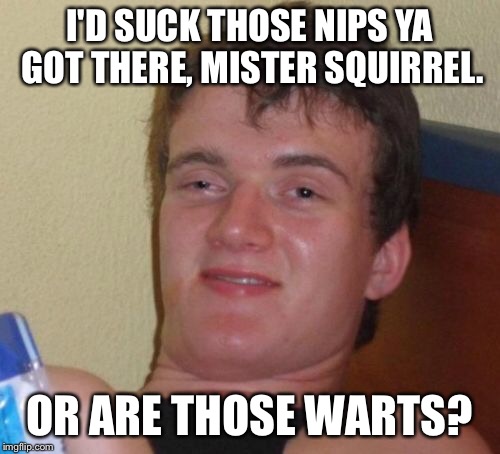 10 Guy Meme | I'D SUCK THOSE NIPS YA GOT THERE, MISTER SQUIRREL. OR ARE THOSE WARTS? | image tagged in memes,10 guy | made w/ Imgflip meme maker