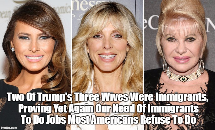 Image result for "pax on both houses" trump's wives jobs americans won't do