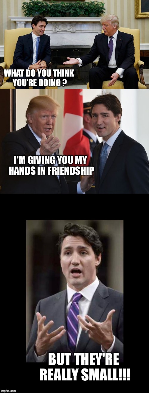 Small Hands | WHAT DO YOU THINK YOU'RE DOING ? I'M GIVING YOU MY HANDS IN FRIENDSHIP; BUT THEY'RE REALLY SMALL!!! | image tagged in trump,trudeau,president,prime minister,small hands | made w/ Imgflip meme maker