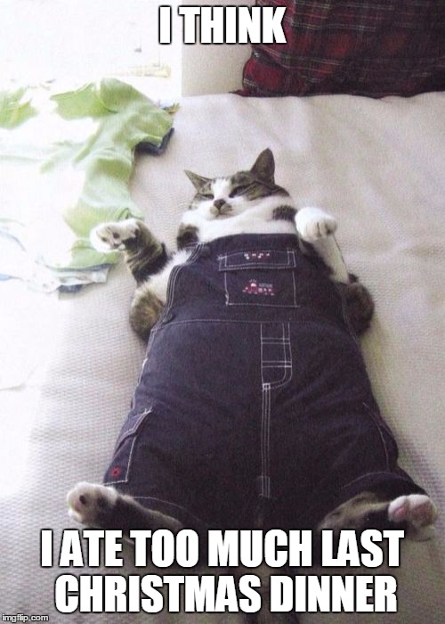 Fat Cat | I THINK; I ATE TOO MUCH LAST CHRISTMAS DINNER | image tagged in memes,fat cat | made w/ Imgflip meme maker