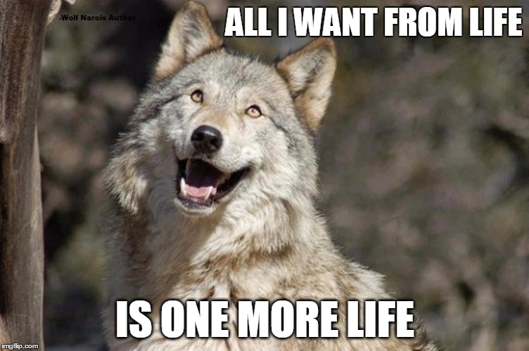 Optimistic Moon Moon Wolf Vanadium Wolf | ALL I WANT FROM LIFE; IS ONE MORE LIFE | image tagged in optimistic moon moon wolf vanadium wolf | made w/ Imgflip meme maker