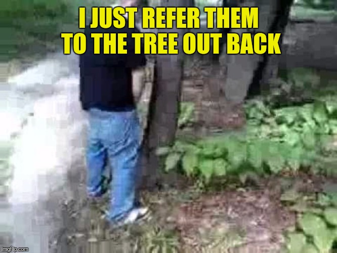 I JUST REFER THEM TO THE TREE OUT BACK | made w/ Imgflip meme maker