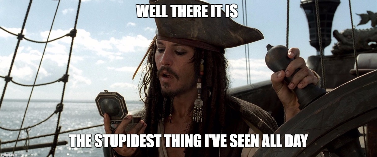 WELL THERE IT IS; THE STUPIDEST THING I'VE SEEN ALL DAY | image tagged in captain jack sparrow | made w/ Imgflip meme maker