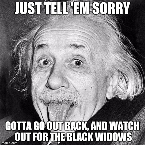 tongue out Einstein  | JUST TELL 'EM SORRY GOTTA GO OUT BACK, AND WATCH OUT FOR THE BLACK WIDOWS | image tagged in tongue out einstein | made w/ Imgflip meme maker