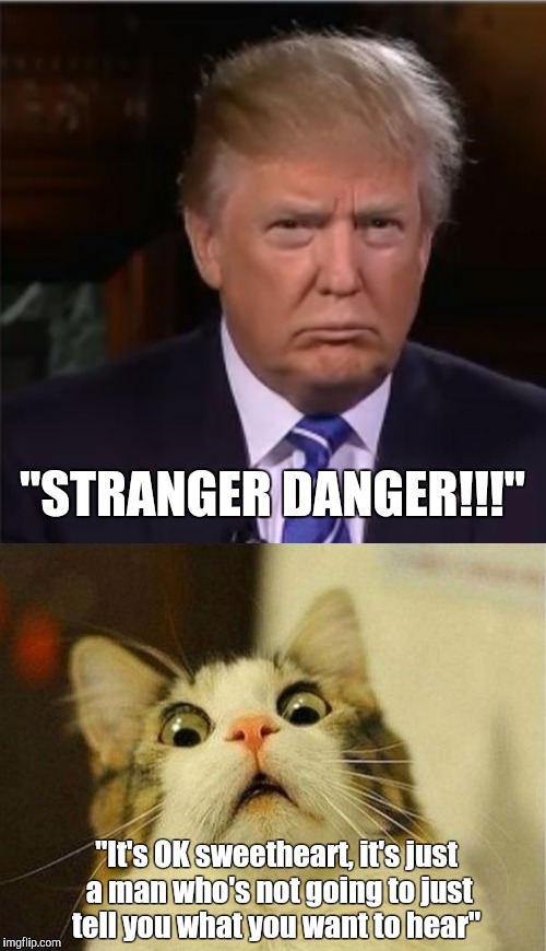 "STRANGER DANGER!!!"; "It's OK sweetheart, it's just a man who's not going to just tell you what you want to hear" | image tagged in special snowflake,trump supporters,donald trump memes,donald trump scared,scared cat,scaredy cat | made w/ Imgflip meme maker