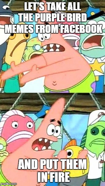 Put It Somewhere Else Patrick Meme | LET'S TAKE ALL THE PURPLE BIRD  MEMES FROM FACEBOOK; AND PUT THEM IN FIRE | image tagged in memes,put it somewhere else patrick | made w/ Imgflip meme maker
