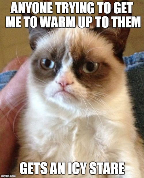 Grumpy Cat Meme | ANYONE TRYING TO GET ME TO WARM UP TO THEM; GETS AN ICY STARE | image tagged in memes,grumpy cat | made w/ Imgflip meme maker