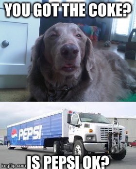 YOU GOT THE COKE? IS PEPSI OK? | image tagged in drugs dog,pepsi,memes | made w/ Imgflip meme maker