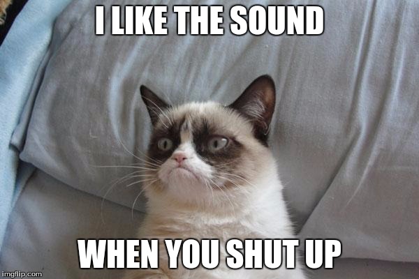 Grumpy Cat Bed Meme | I LIKE THE SOUND; WHEN YOU SHUT UP | image tagged in memes,grumpy cat bed,grumpy cat | made w/ Imgflip meme maker