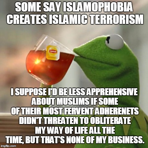 Reform Your Own, Then We'll Talk | SOME SAY ISLAMOPHOBIA CREATES ISLAMIC TERRORISM; I SUPPOSE I'D BE LESS APPREHENSIVE ABOUT MUSLIMS IF SOME OF THEIR MOST FERVENT ADHERENETS DIDN'T THREATEN TO OBLITERATE MY WAY OF LIFE ALL THE TIME, BUT THAT'S NONE OF MY BUSINESS. | image tagged in memes,but thats none of my business,kermit the frog | made w/ Imgflip meme maker