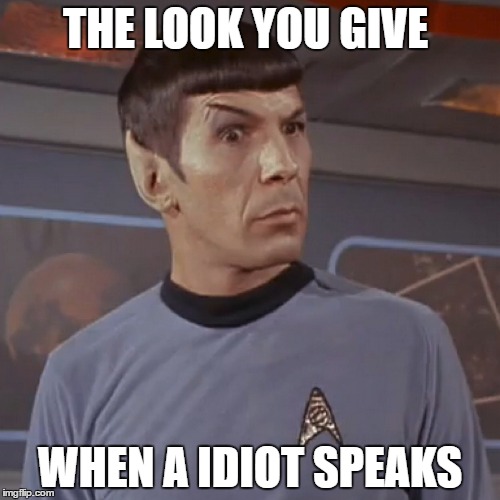 THE LOOK YOU GIVE; WHEN A IDIOT SPEAKS | image tagged in spock | made w/ Imgflip meme maker