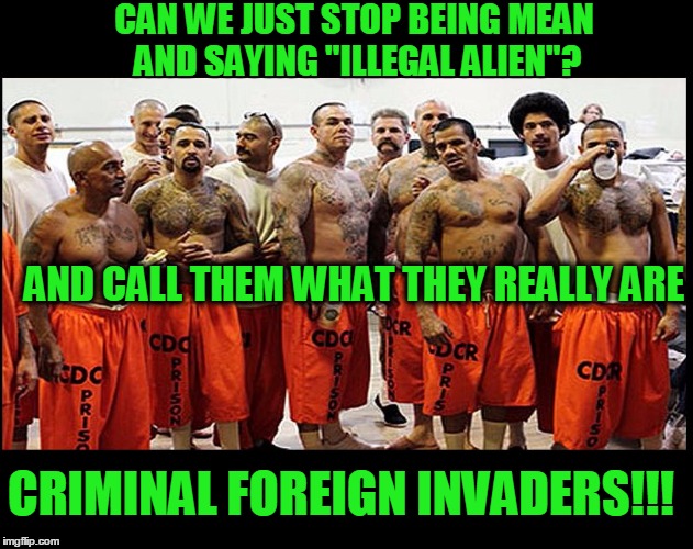 Illegal Aliens for Real | CAN WE JUST STOP BEING MEAN AND SAYING "ILLEGAL ALIEN"? AND CALL THEM WHAT THEY REALLY ARE; CRIMINAL FOREIGN INVADERS!!! | image tagged in illegal aliens for real | made w/ Imgflip meme maker