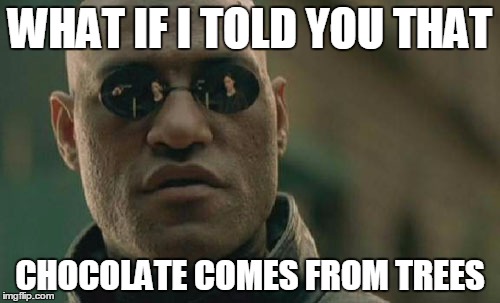 Matrix Morpheus | WHAT IF I TOLD YOU THAT; CHOCOLATE COMES FROM TREES | image tagged in memes,matrix morpheus | made w/ Imgflip meme maker