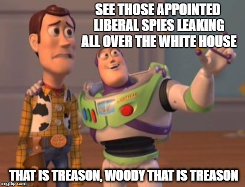 X, X Everywhere Meme | SEE THOSE APPOINTED LIBERAL SPIES LEAKING ALL OVER THE WHITE HOUSE; THAT IS TREASON, WOODY THAT IS TREASON | image tagged in memes,x x everywhere | made w/ Imgflip meme maker