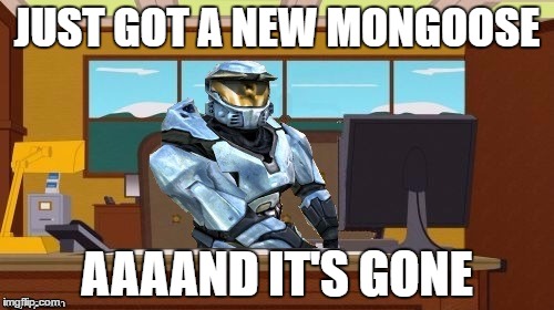 Thanks ghostofcurch for the template! | JUST GOT A NEW MONGOOSE; AAAAND IT'S GONE | image tagged in ghostofchurch aaaand it's gone | made w/ Imgflip meme maker